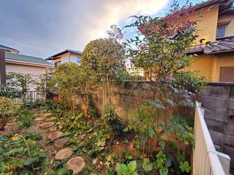 N様邸　剪定工事_210726_0 (4)