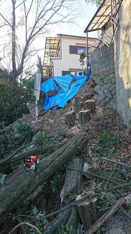 ②ネクサス　地滑り復旧工事_210726_41