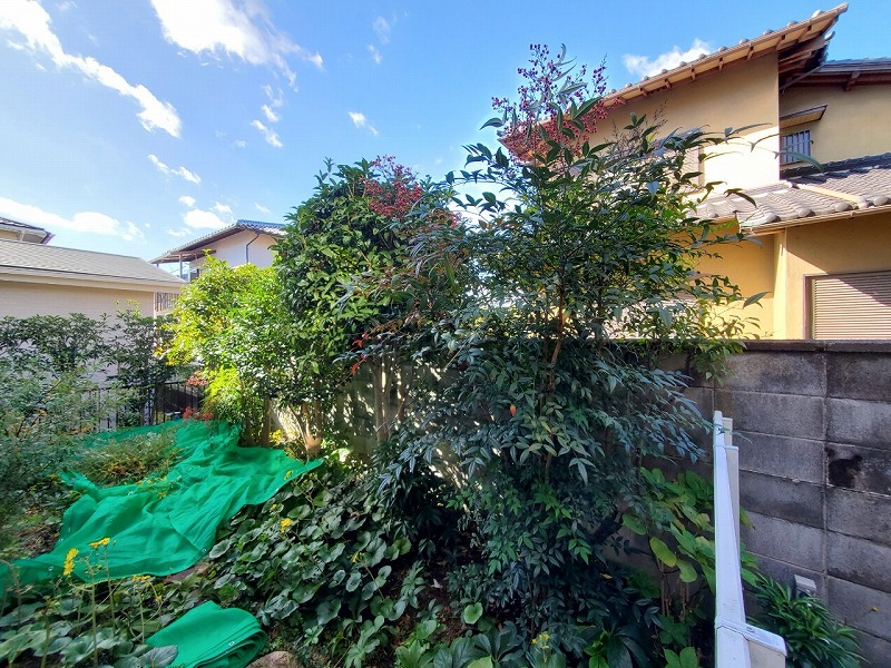 N様邸　剪定工事_210726_0 (8)