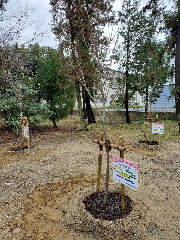 ②商工会　桜植樹プロジェクト_210726_1